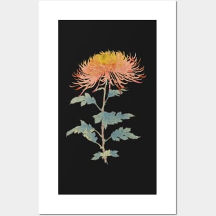 Red and Gold Needle Chrysanthemum - Hasegawa - Traditional Japanese style - Botanical Illustration Posters and Art
